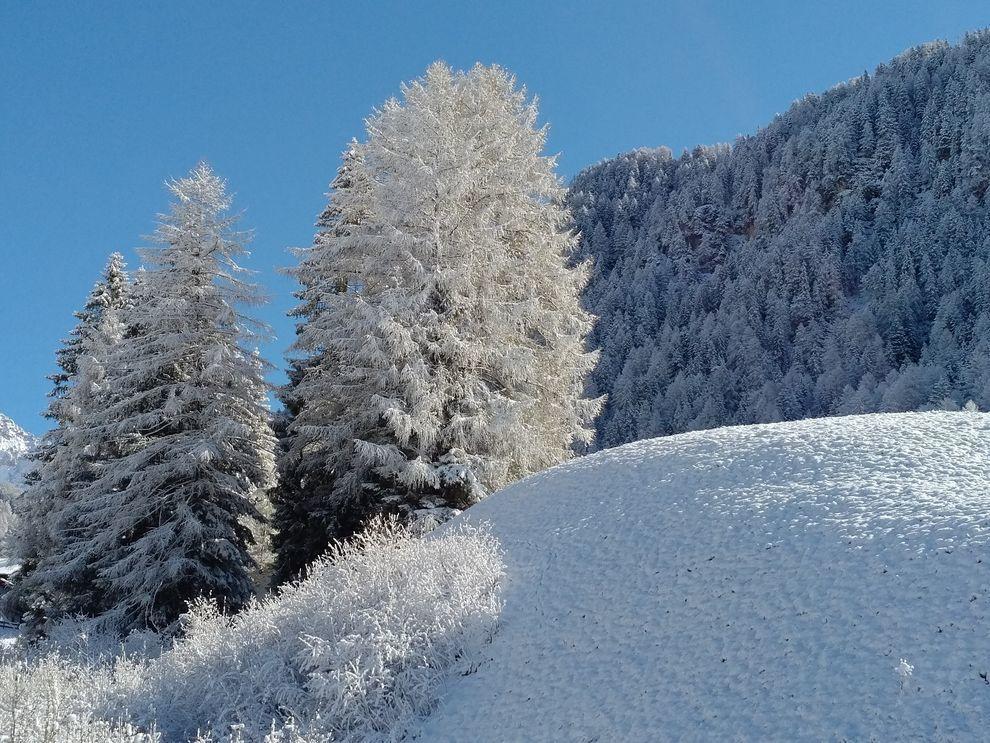 Garni Waltoy Selva di Val Gardena Exterior foto